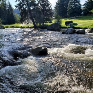 Meet your Posher, Tracy